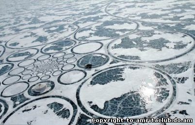 Еко-арт – екологія в мистецтві