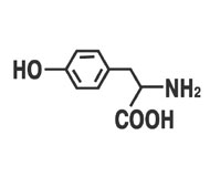Состав АНКАРЦИНА