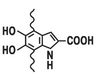 Состав АНКАРЦИНА