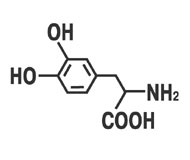 Состав АНКАРЦИНА